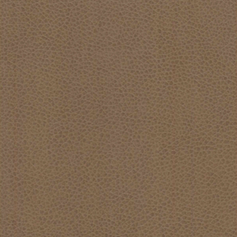 Vivid — Walnut
