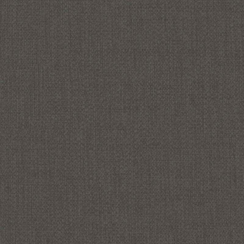 Vizor — Graphite
