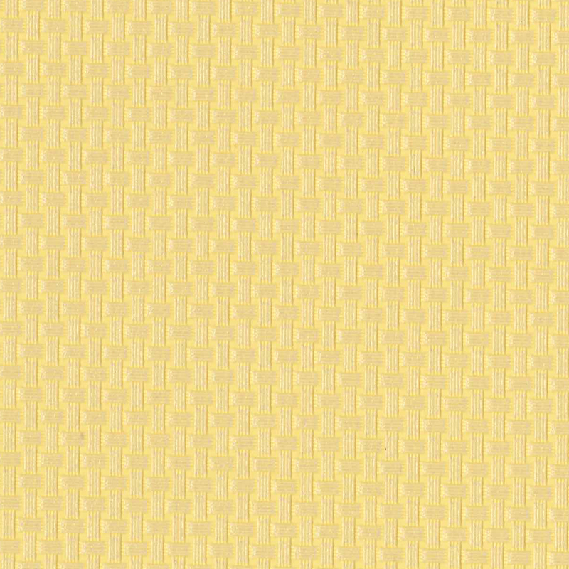 Voyage — Daffodil