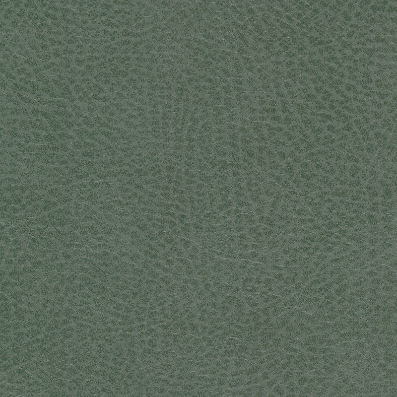 Vulture — Herb