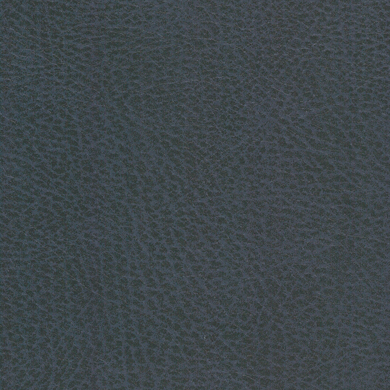 Vulture — Ocean
