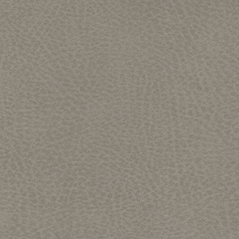 Vulture — Pebble
