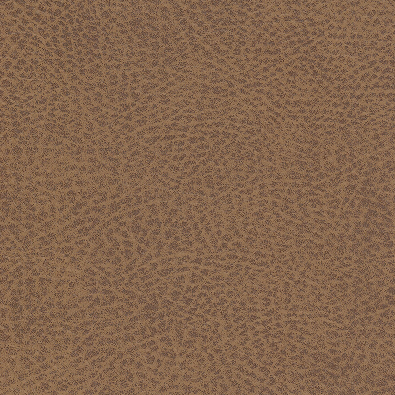 Vulture — Pecan