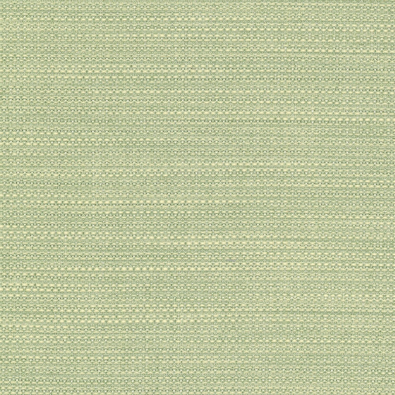 Wilmington — Aloe
