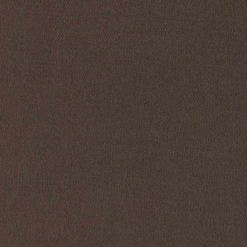 Zenith-C — Brown Sugar